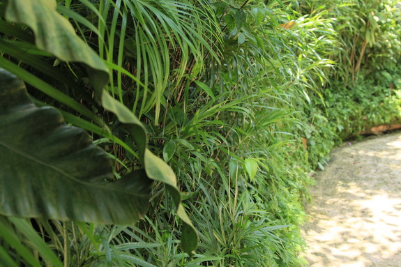 Моя Сингапурская сказка. Singapore ZOO.