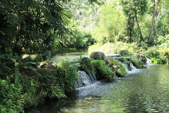 Моя сингапурская сказка. Singapore Zoo (продолжение)