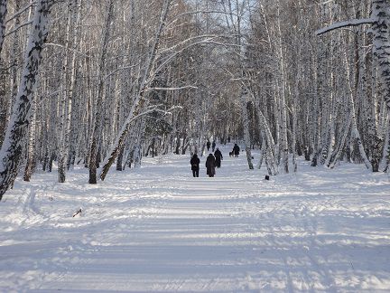 Четыре времени года леса