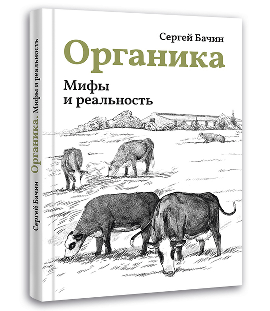 Конкурс рецептов от «Углече Поле»: итоги