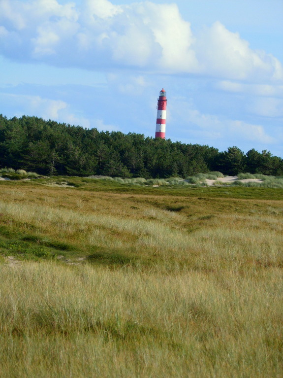 Отдых на острове Амрум в Северном море