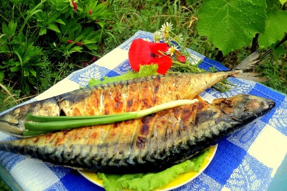 Готовим рыбу на гриле: 10 рецептов от «Едим Дома»